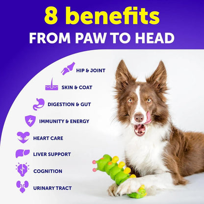 Dog Multivitamin Chewable With Glucosamine 20 In 1 Dog Vitamins And Supplements Senior & Puppy Multivitamin For Dogs Pet Joint Support Health Immunity Mobility Gut Skin 120 Chews