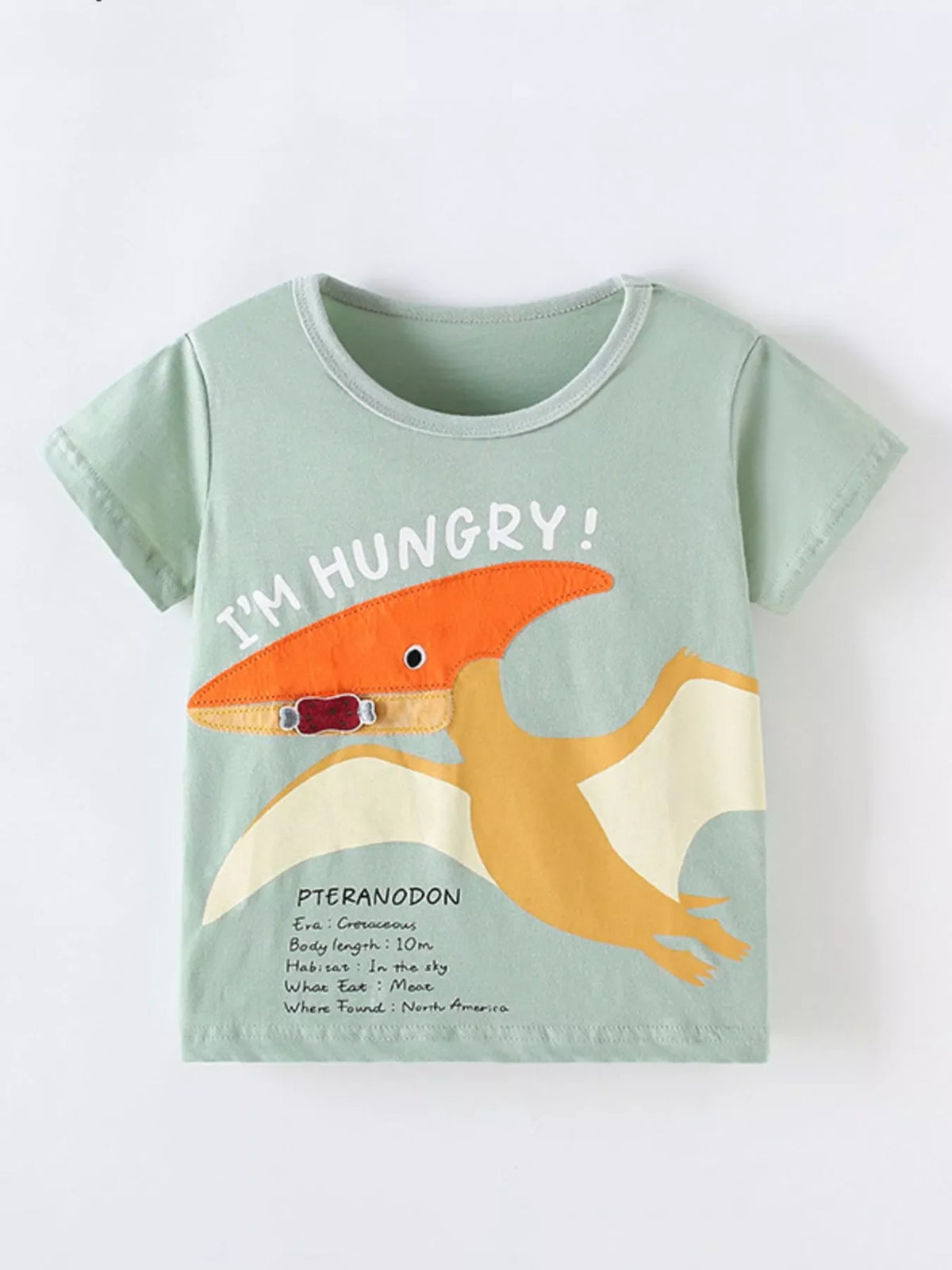 Children's Graphic Short Sleeve T-Shirt