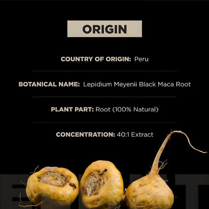 In Stock Black Maca Root Capsules For Men