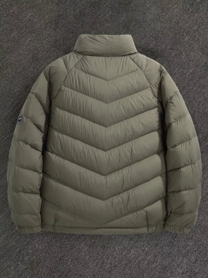 Men's Plus Size Zip Up Stand Collar Down Jacket