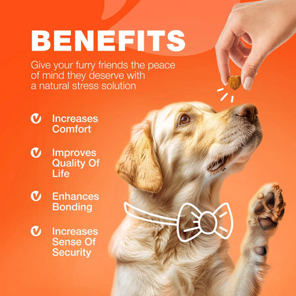 Glucosamine For Dogs Hemp Hip And Joint Supplement For Dogs Glucosamine Chondroitin Chews With MSM Turmeric Collagen For Mobility Bone Skin And Coat Health Maintains Muscle Strength