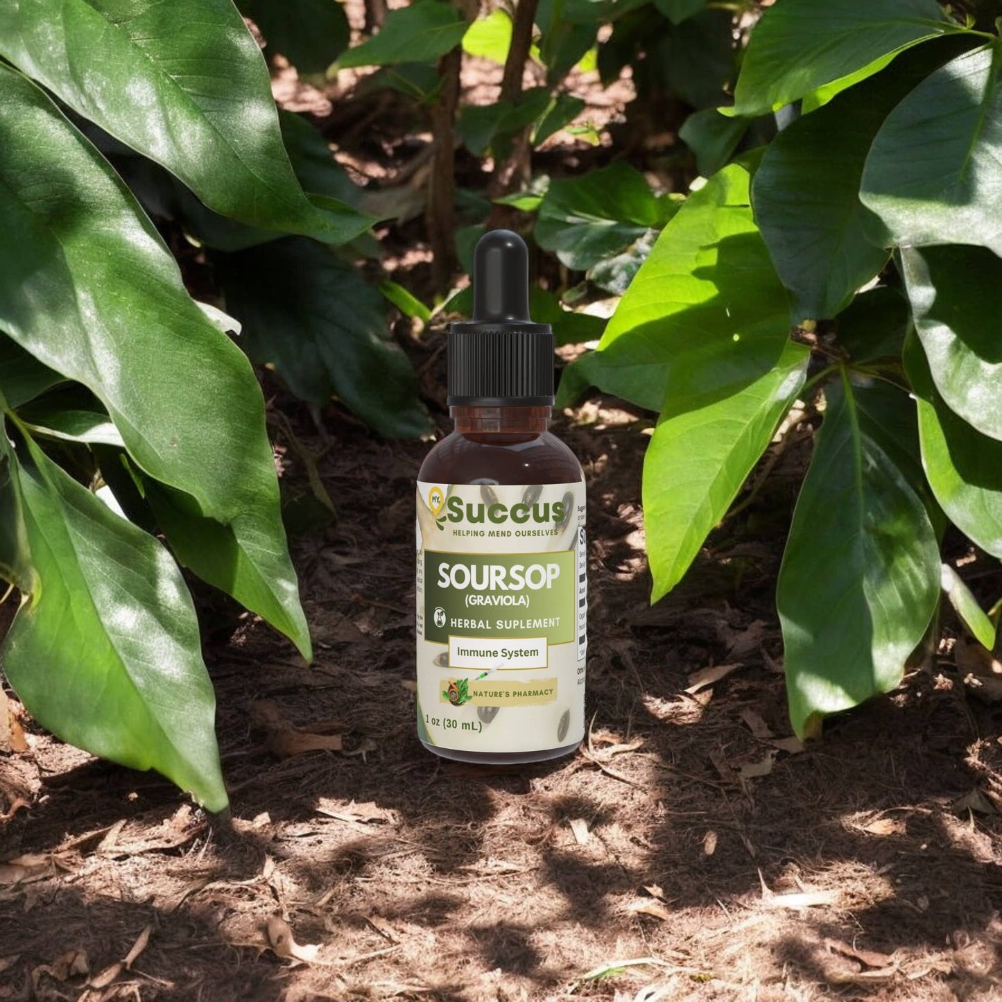 Soursop Tincture | Immune System (High Potency) | Alcohol Free | 1 fl oz