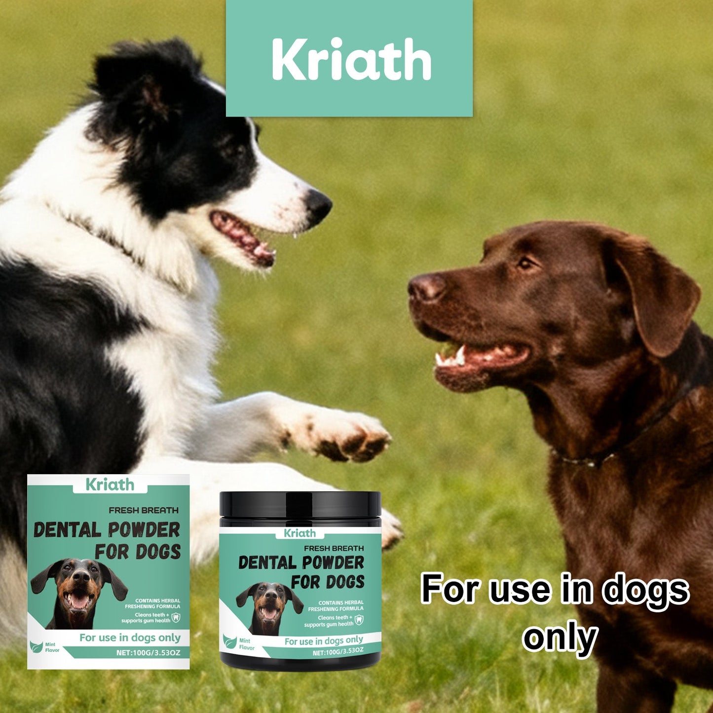 Breath-Freshening Tooth Powder For Dogs