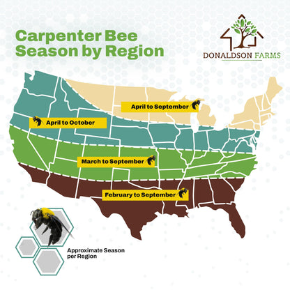 Donaldson Farms Carpenter Bee Natural Attractant Lure, Gentle on Honey Bees 2oz