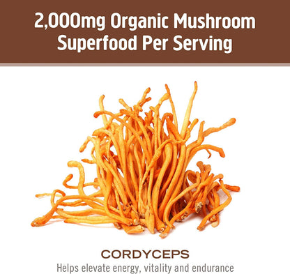 Om Mushroom Superfood Cordyceps Mushroom Capsules, Energy and Endurance Support Supplement, 90 Count