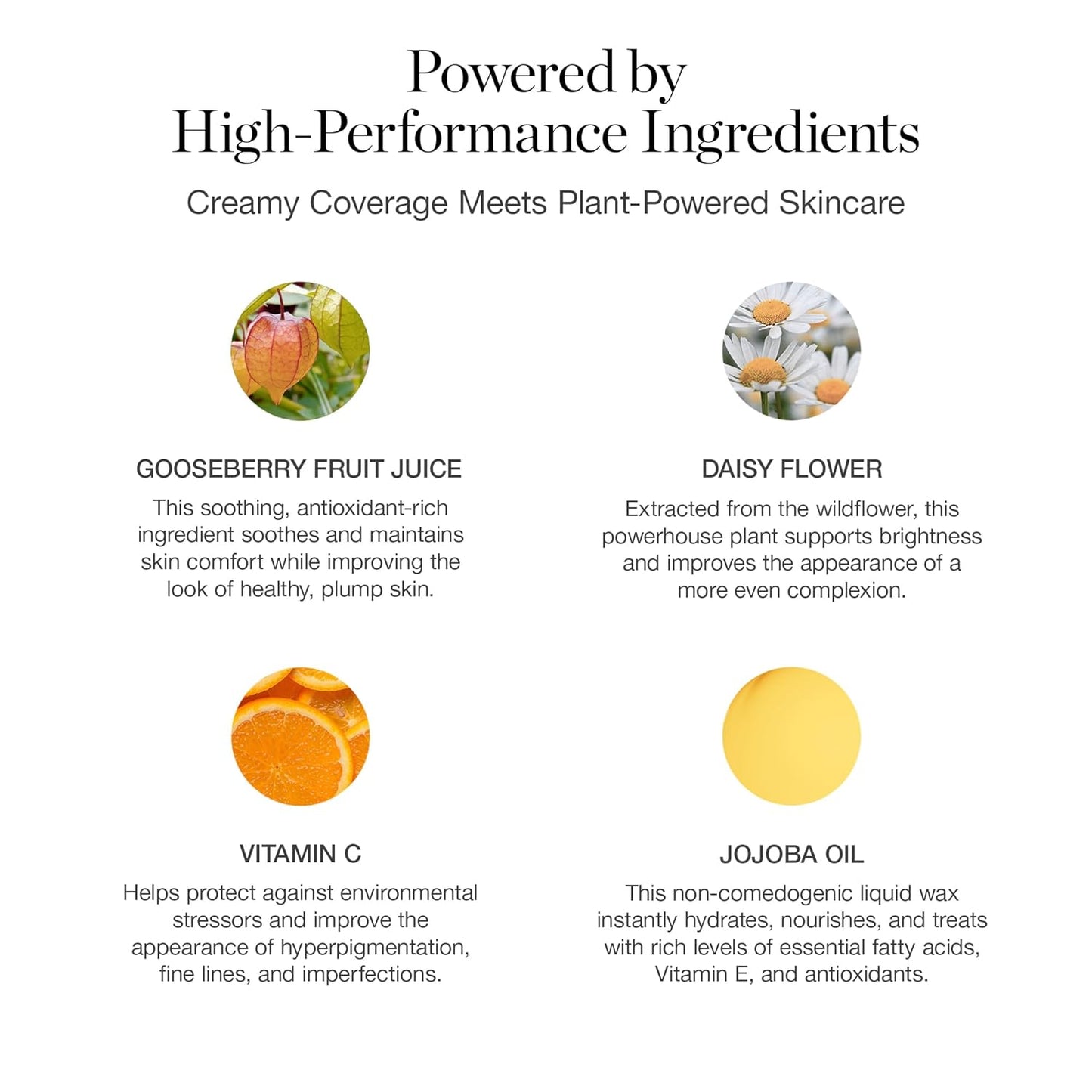 OGEE Hydraganics Complexion Perfecting Tinted Moisturizer