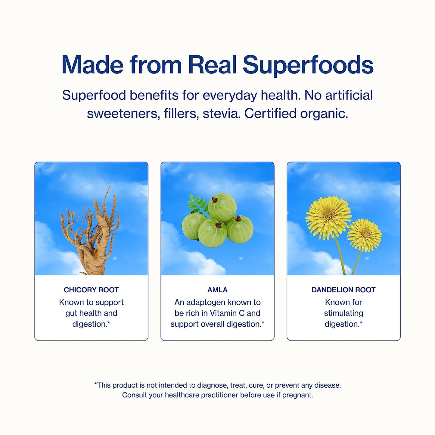 Sunwink Digestion Lemonade Powder Mix - 4.2 Oz