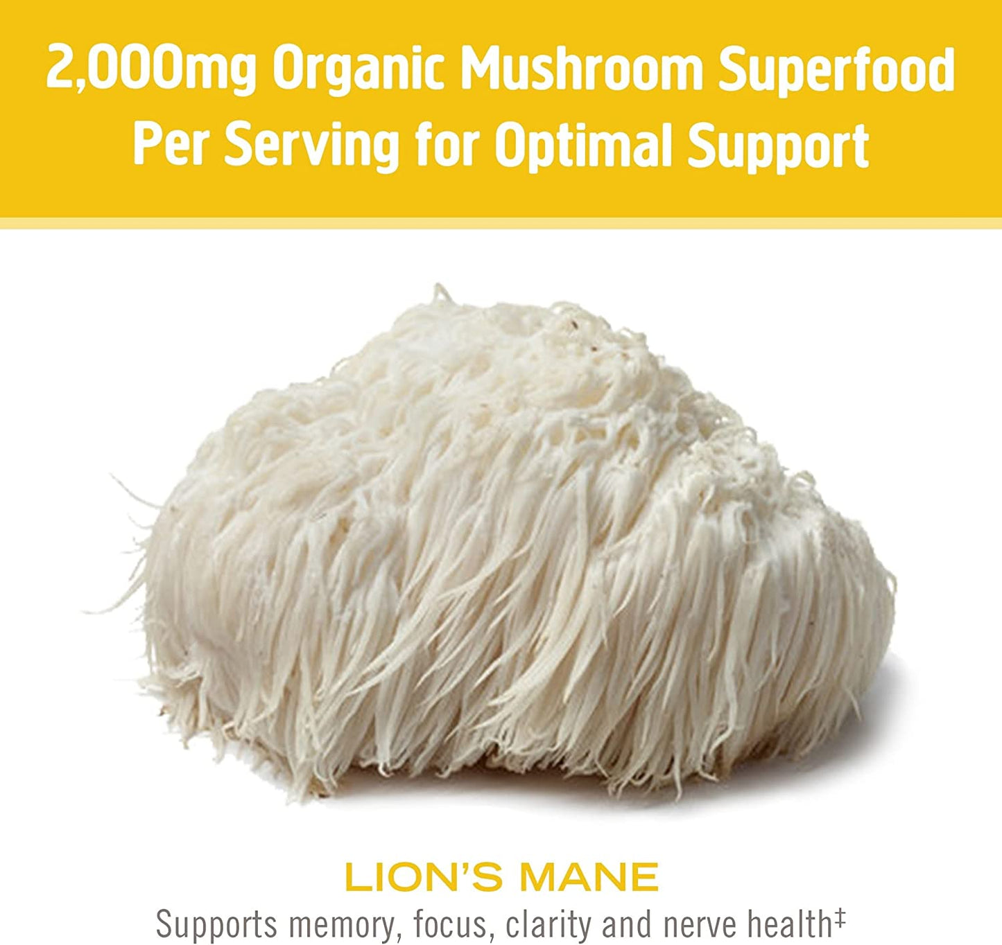 Om Lion's Mane Organic Mushroom Powder - 7.05 Oz