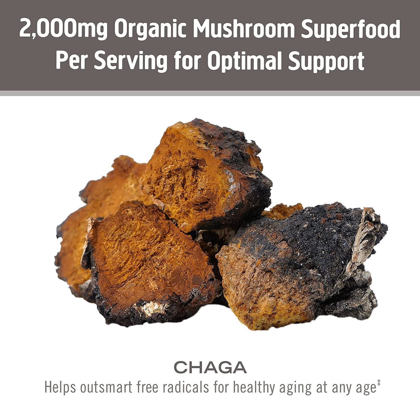 Om Mushroom Superfood Chaga Organic Mushroom Powder, 3.5 Oz., 50 Servings