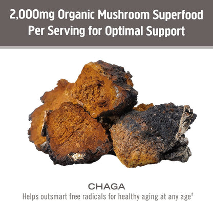 Om Mushroom Superfood Chaga Organic Mushroom Powder, 3.5 Oz., 50 Servings