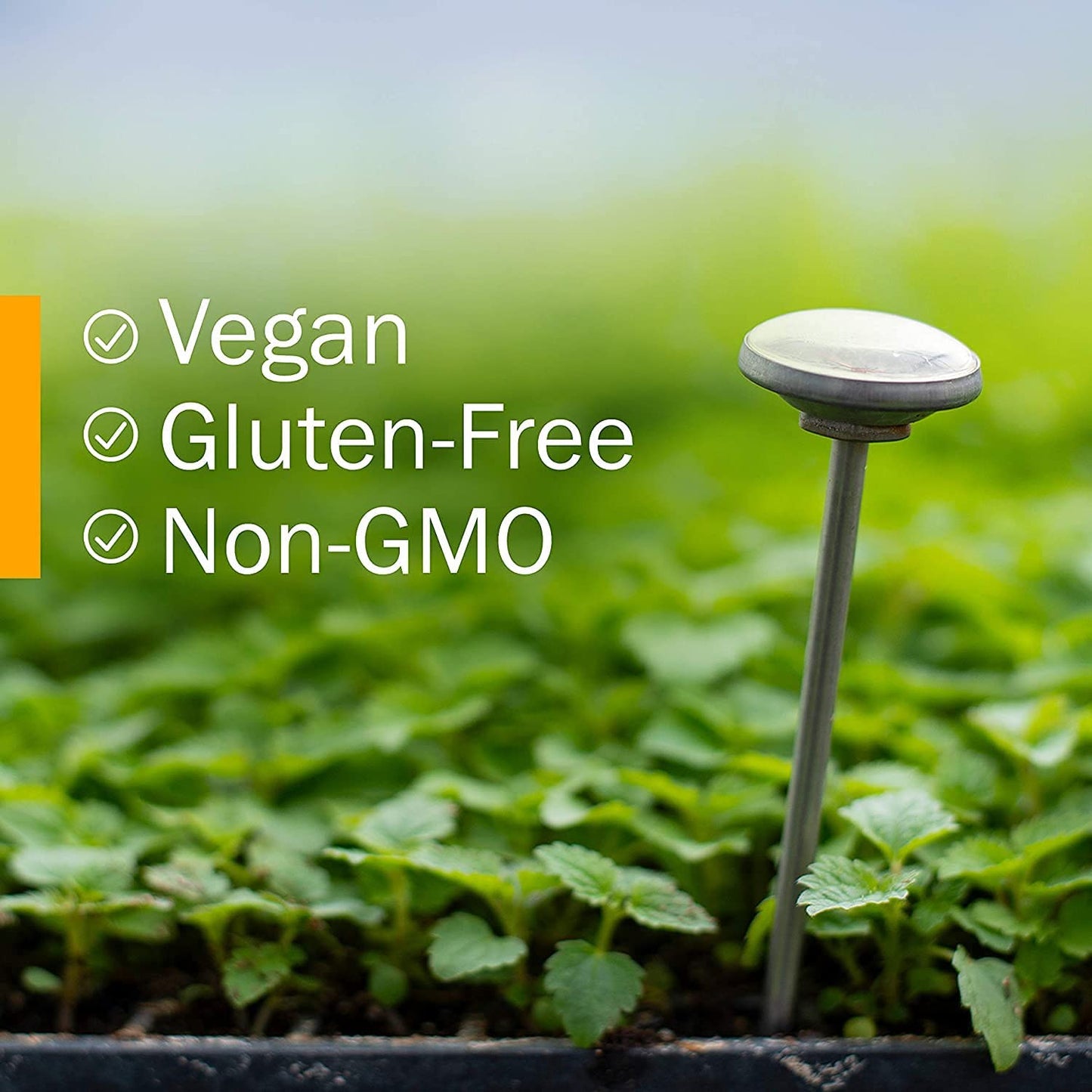 Herb Pharm Kids Ear Mullein Garlic Oil - Natural Earache Relief for Children - 1 Fl Oz