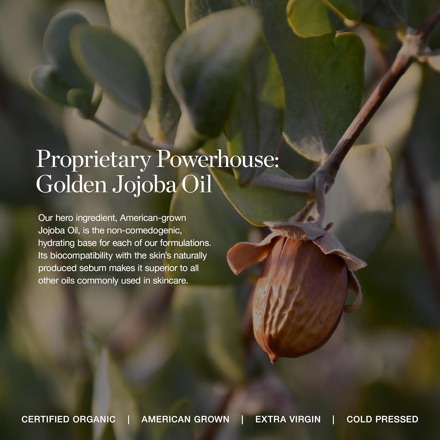 OGEE Hydraganics Complexion Perfecting Tinted Moisturizer