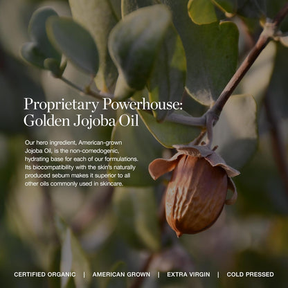 OGEE Hydraganics Complexion Perfecting Tinted Moisturizer