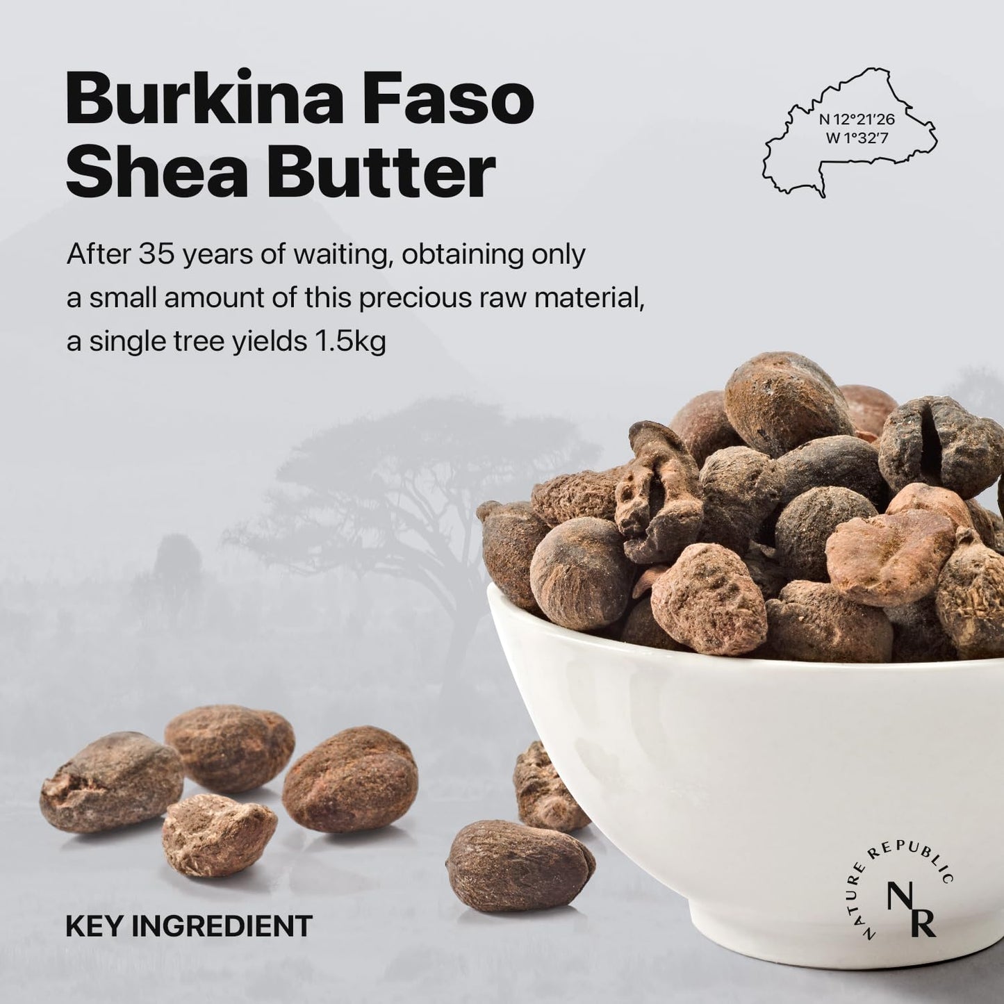 Nature Republic Shea Butter Fresh Steam Cream