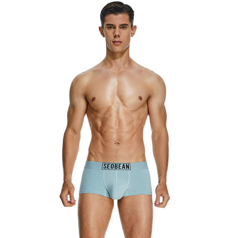 Men's Cotton Underpants Low Waist Casual Boxer Boxer Briefs