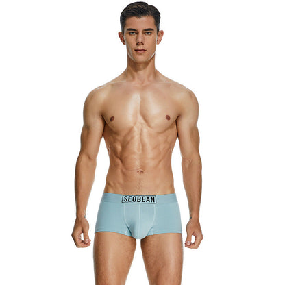 Men's Cotton Underpants Low Waist Casual Boxer Boxer Briefs