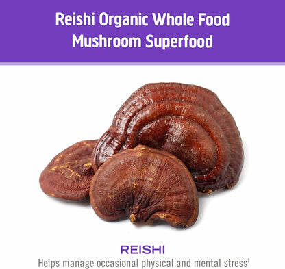 Om Mushroom Superfood Sleep Mushroom Capsules, 90-Count Sleep Support Supplement