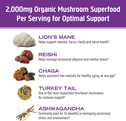 Om Mushroom Superfood Hot Chocolate Blend, 8.47 oz