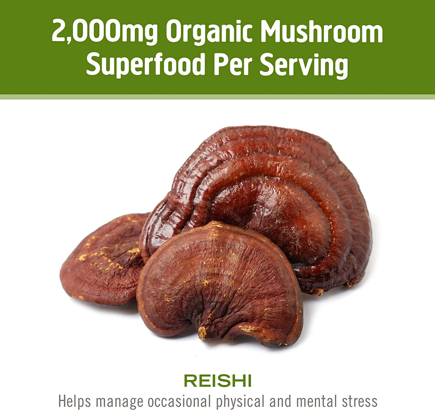 Om Mushroom Superfood Reishi Organic Mushroom Powder, 3.5 Ounce