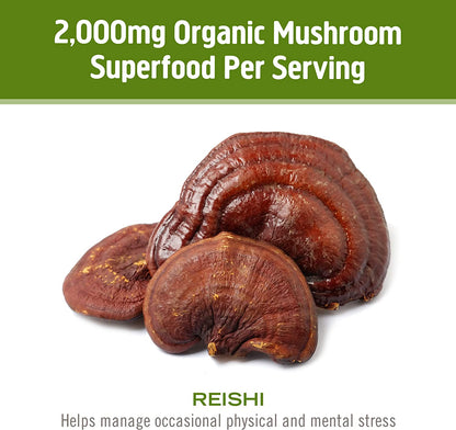 Om Mushroom Superfood Reishi Organic Mushroom Powder, 3.5 Ounce