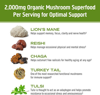 Om Mushroom Superfood Matcha Latte Blend: Immune Support, Energy Boosting Mushroom Powder - 8.47 oz