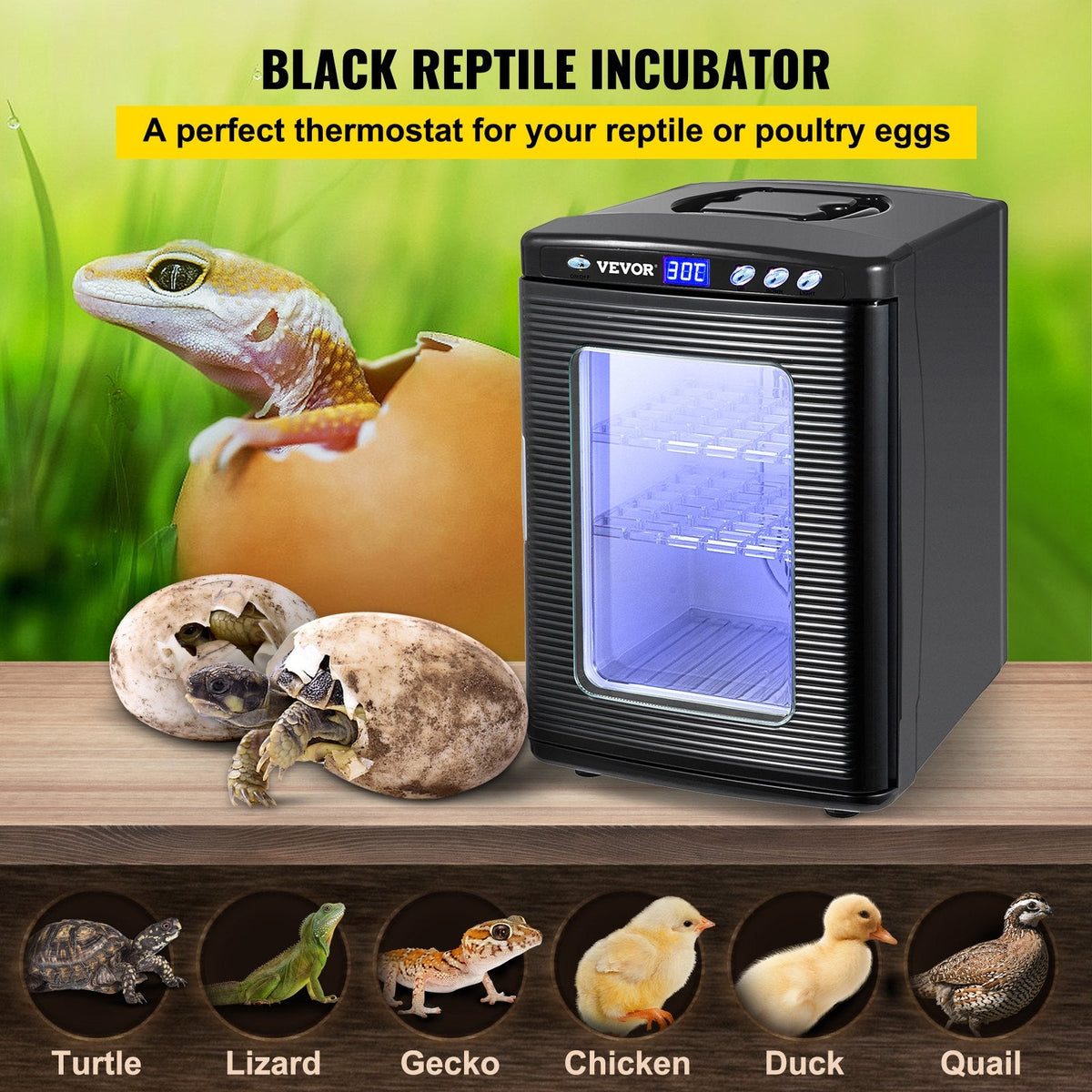 Black Reptile Incubator 25L Scientific Lab Incubator Digital Incubator Cooling And Heating 5-42°C Reptile Egg Incubator 12V/110V Work For Small Reptiles