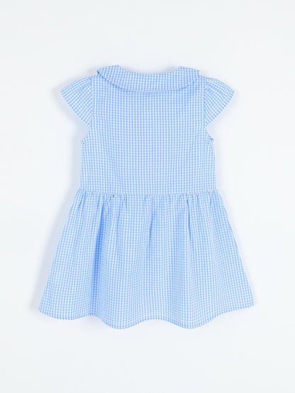 Children's Gingham Peter Pan Collar Button-Front Dress