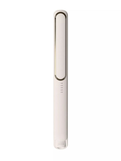 Portable Rechargeable Hair Straightener