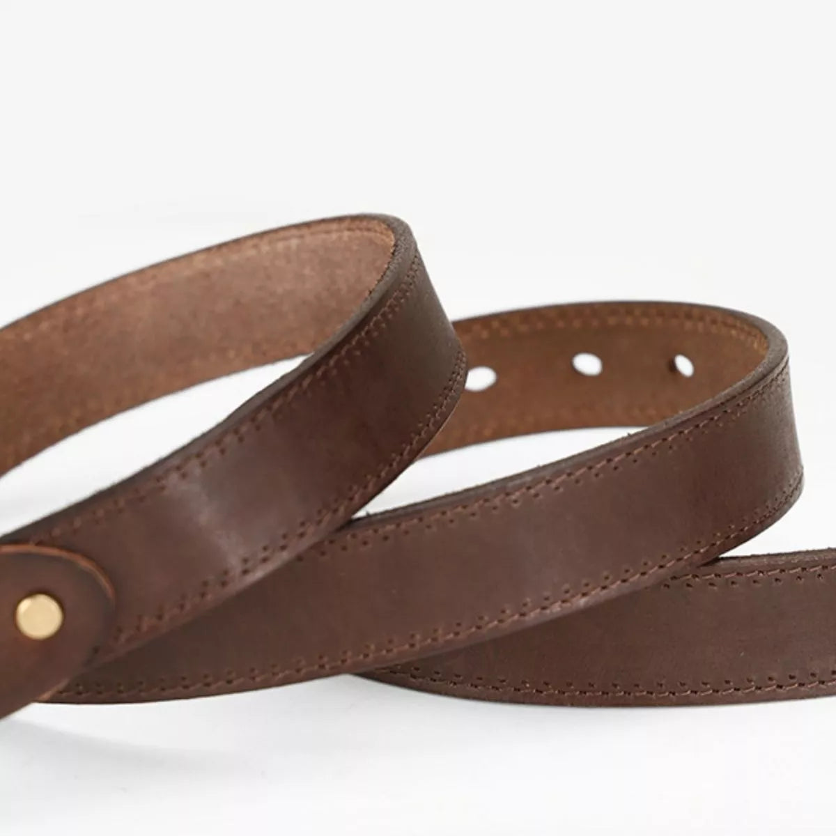 Leather Belt with Golden Buckle