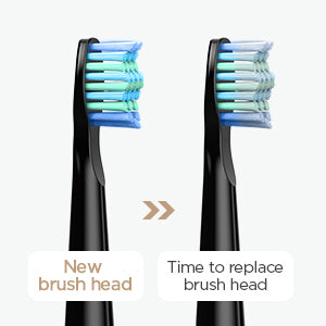 Fairywill FW-508 Sonic Electric Toothbrush Rechargeable Timer Brush 5 Modes Fast Charge Tooth Brush 8 Brush Heads for Adults