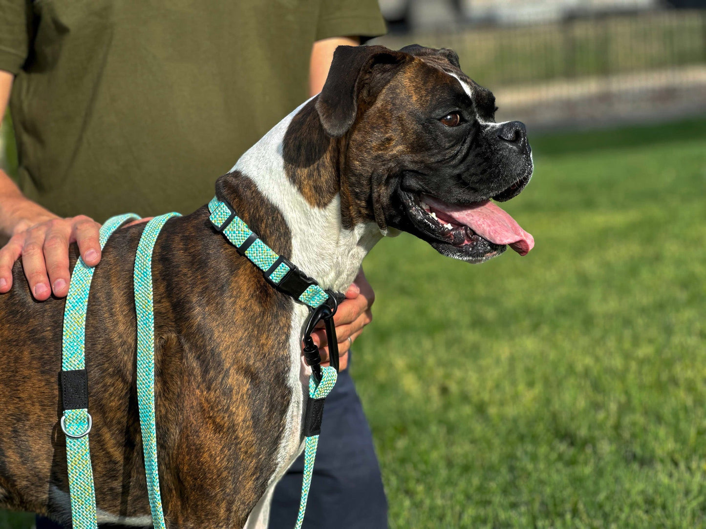 Climbing Rope Dog Collar