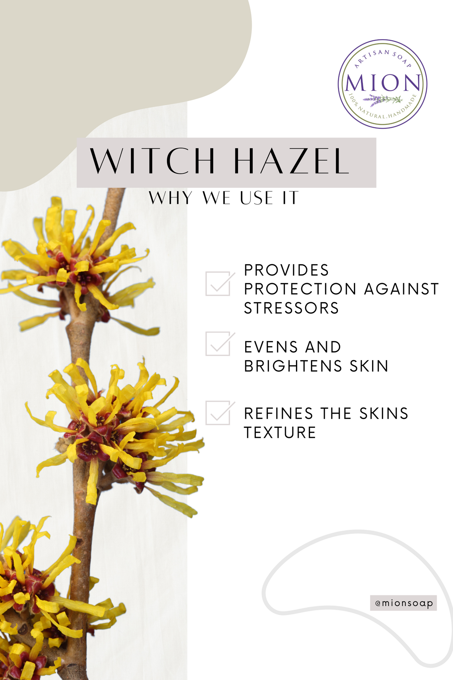 Makeup Remover | Nourishing, Delicate (without greasy residue)