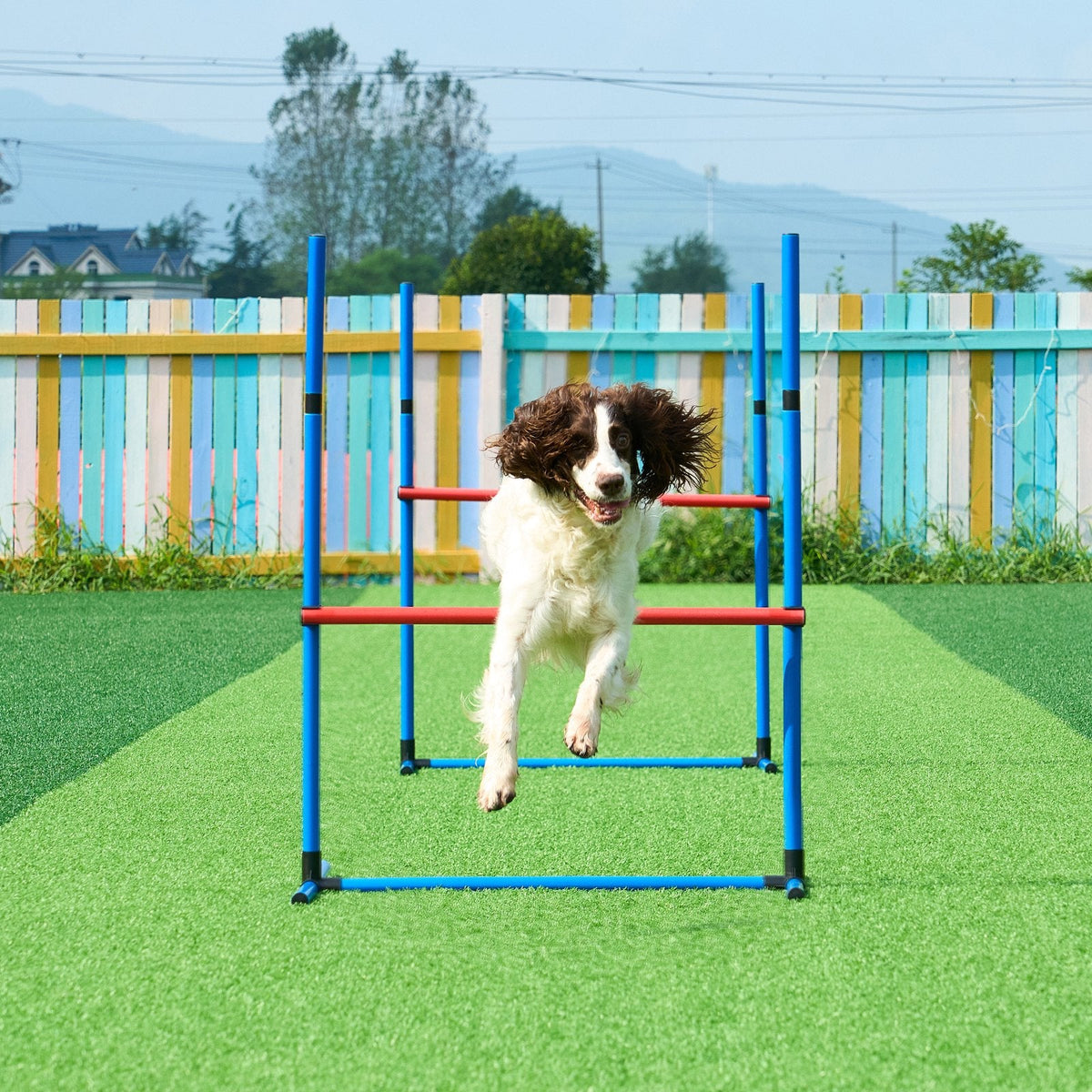 Dog Agility Training Equipment 7 PCS Set W/ Hurdles 2 Tunnels Jump Ring