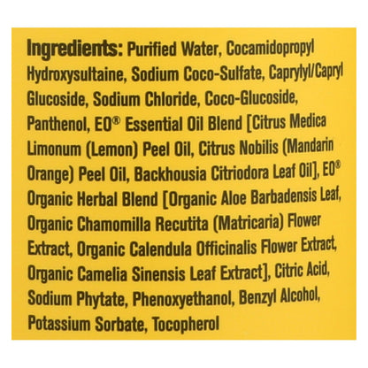 Everyone Mandarin & Meyer Lemon Hand Soap - 12.75 Oz