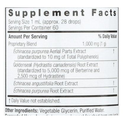 Nature's Answer Echinacea and Goldenseal Alcohol-Free Liquid Extract, 2 Fl Oz