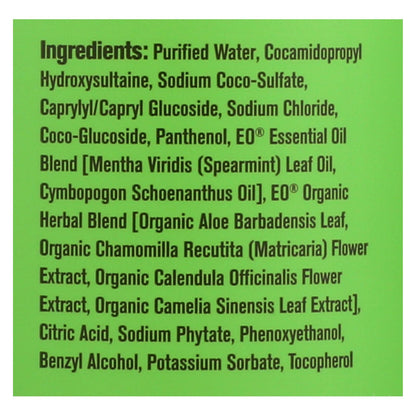 Everyone Spearmint and Lemongrass Hand Soap - 12.75 Oz