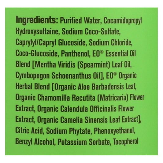 Everyone Spearmint and Lemongrass Hand Soap - 12.75 Oz