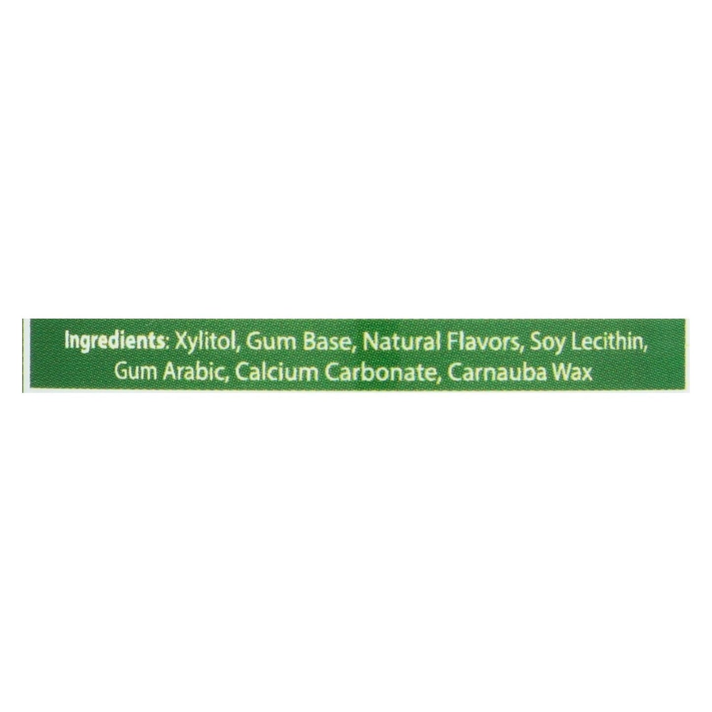 Epic Dental Xylitol Gum - Spearmint (50 Count)