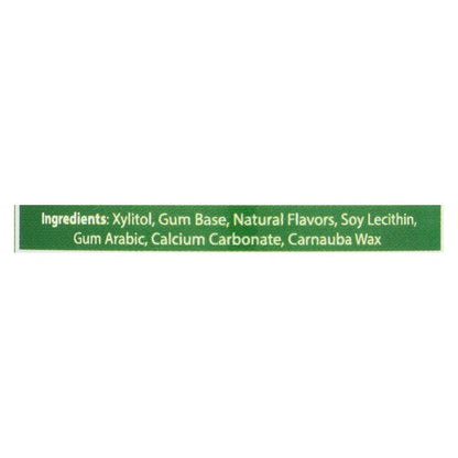 Epic Dental Xylitol Gum - Spearmint (50 Count)