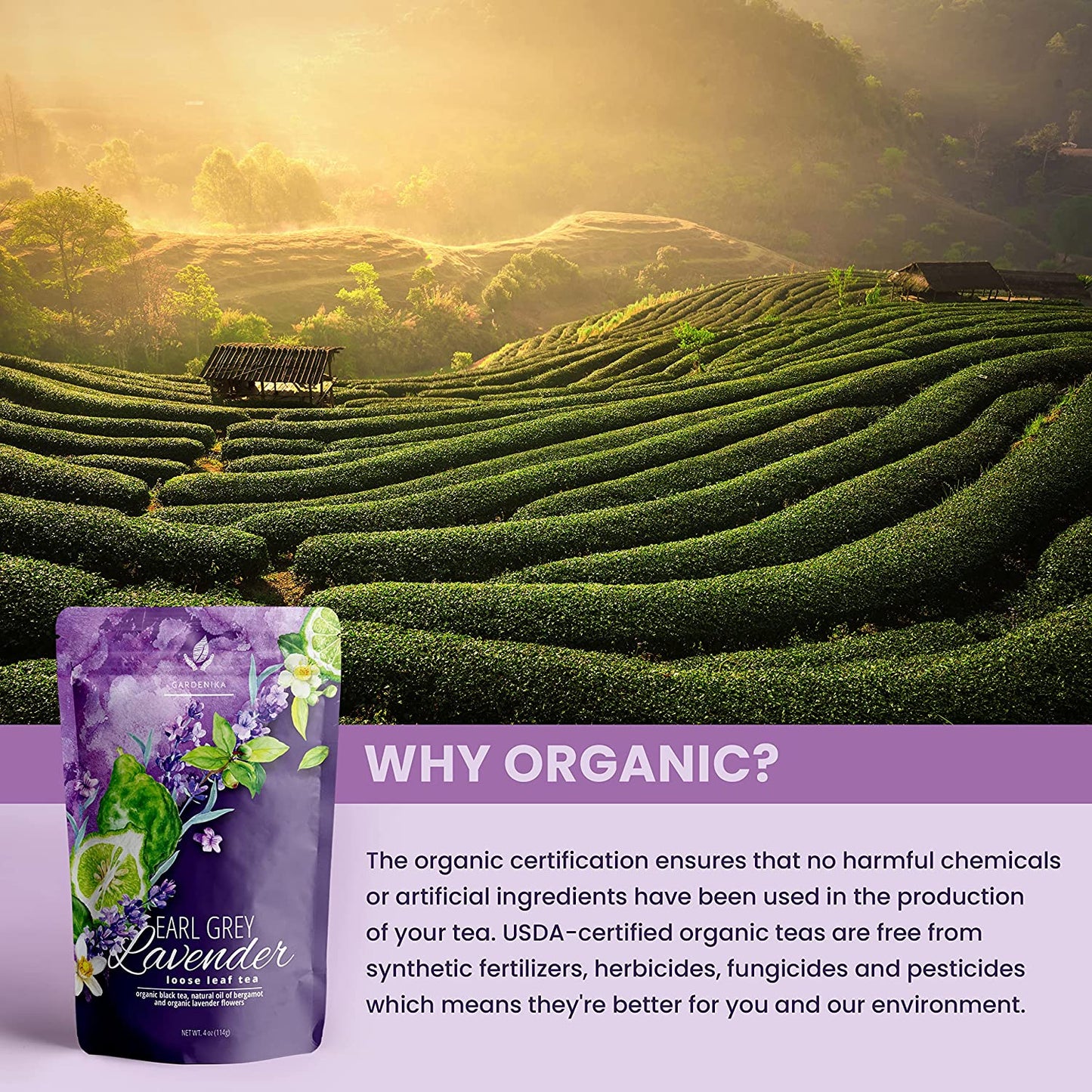 Earl Grey Lavender Tea, Black Tea with Bergamot - Organic & Kosher