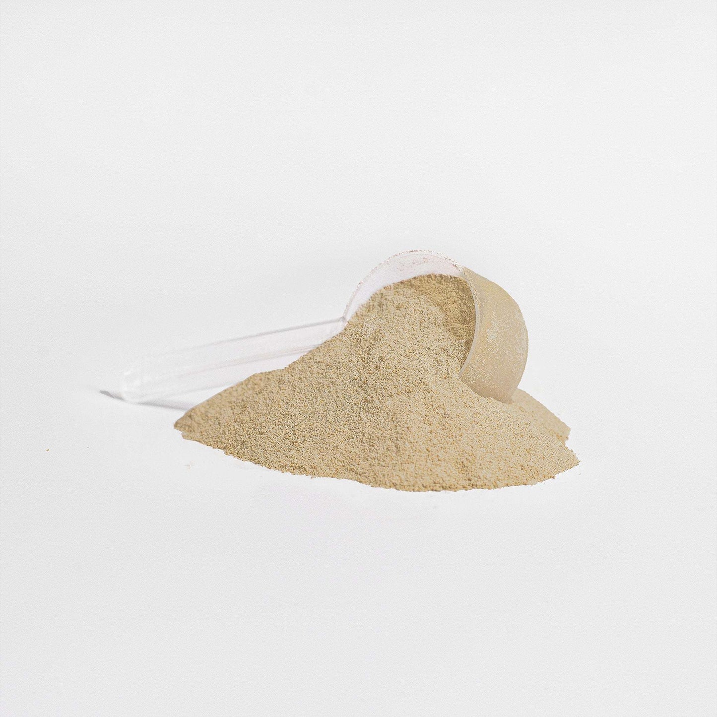 WHEY PROTEIN ISOLATE - VANILLA