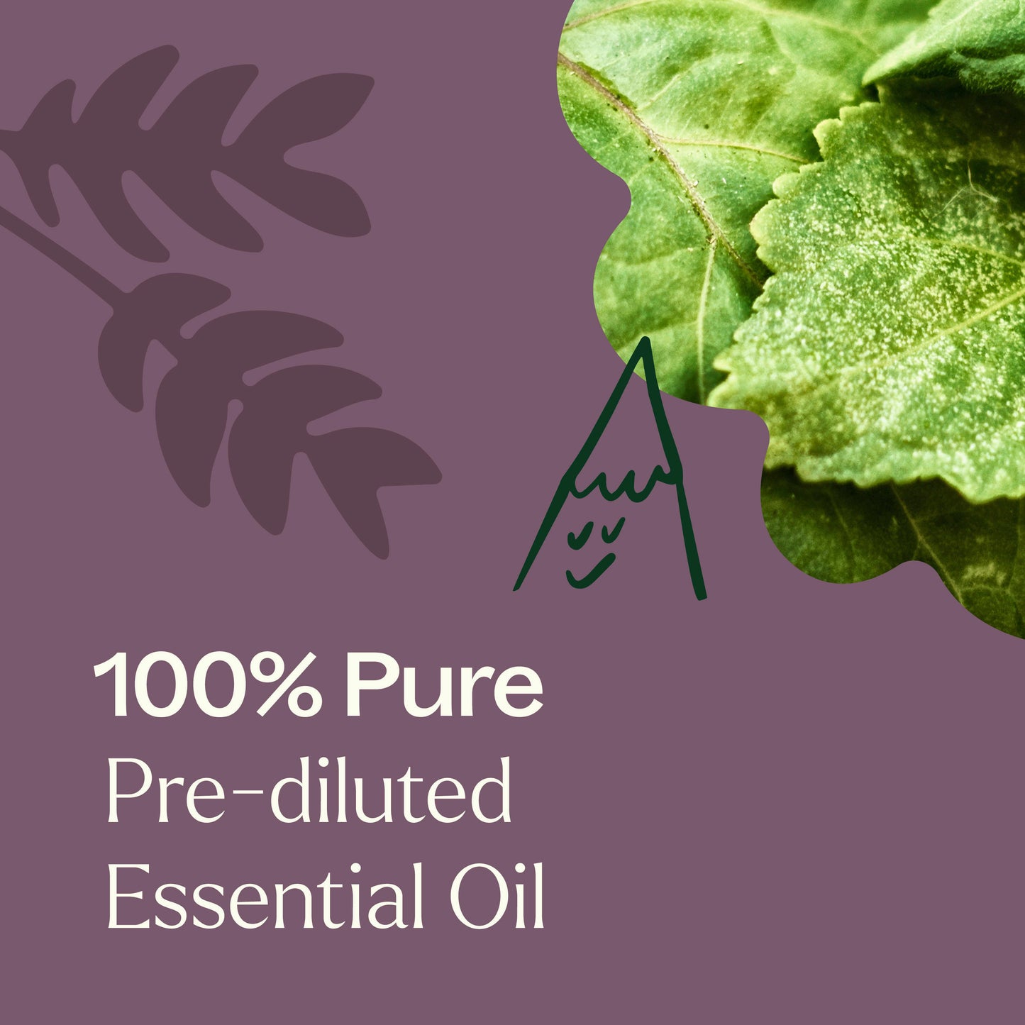 Aged Dark Patchouli Essential Oil Pre-Diluted Roll-On 10 ml