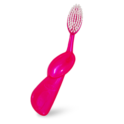 Big Brush with Replaceable Head Toothbrush