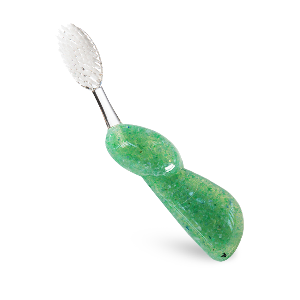 Big Brush with Replaceable Head Toothbrush