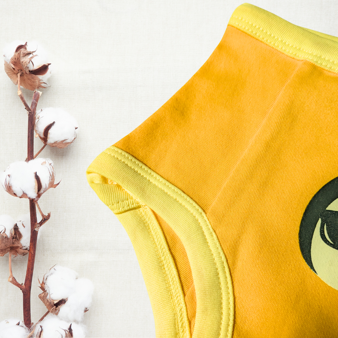 Organic Potty Training Underwear