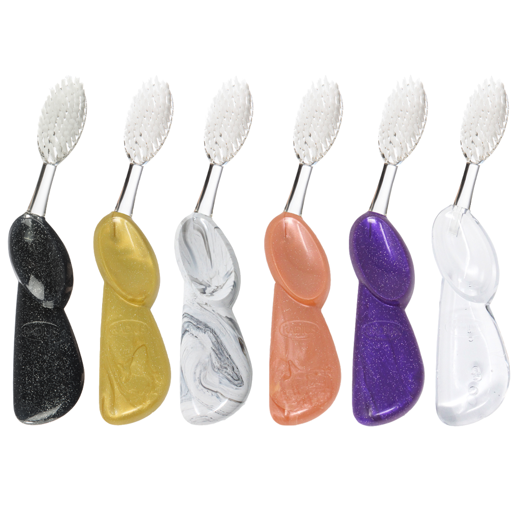 Big Brush with Replaceable Head Toothbrush