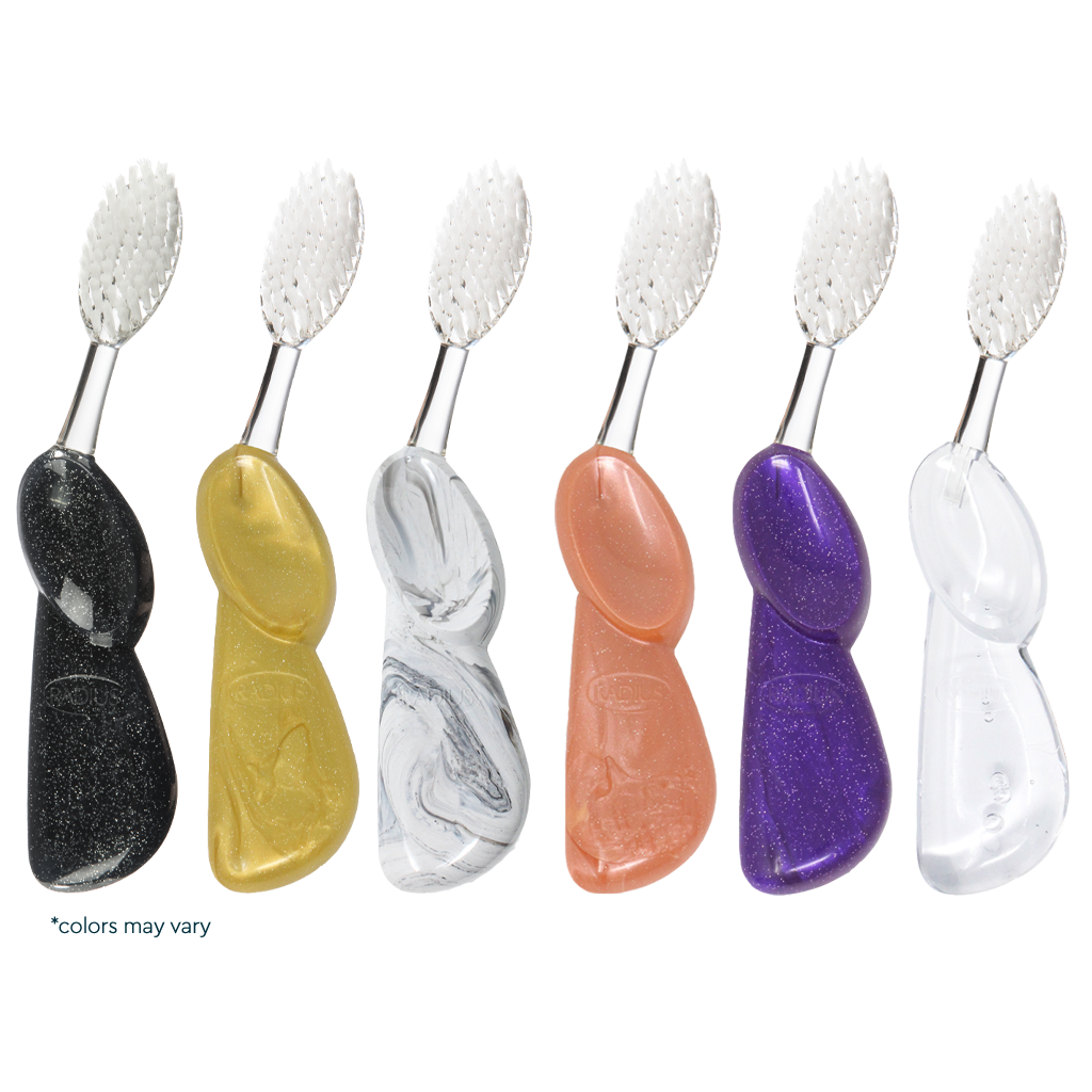 Big Brush with Replaceable Head Toothbrush
