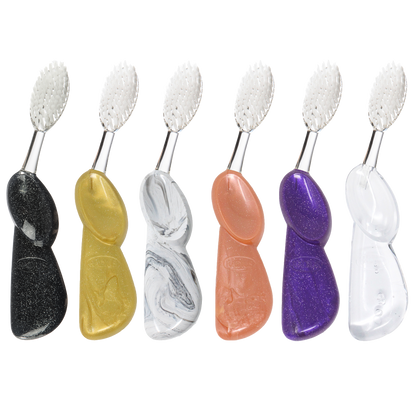 Big Brush with Replaceable Head Toothbrush