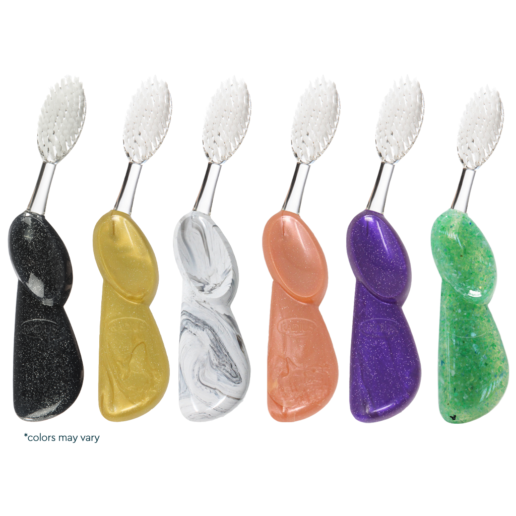 Big Brush with Replaceable Head Toothbrush