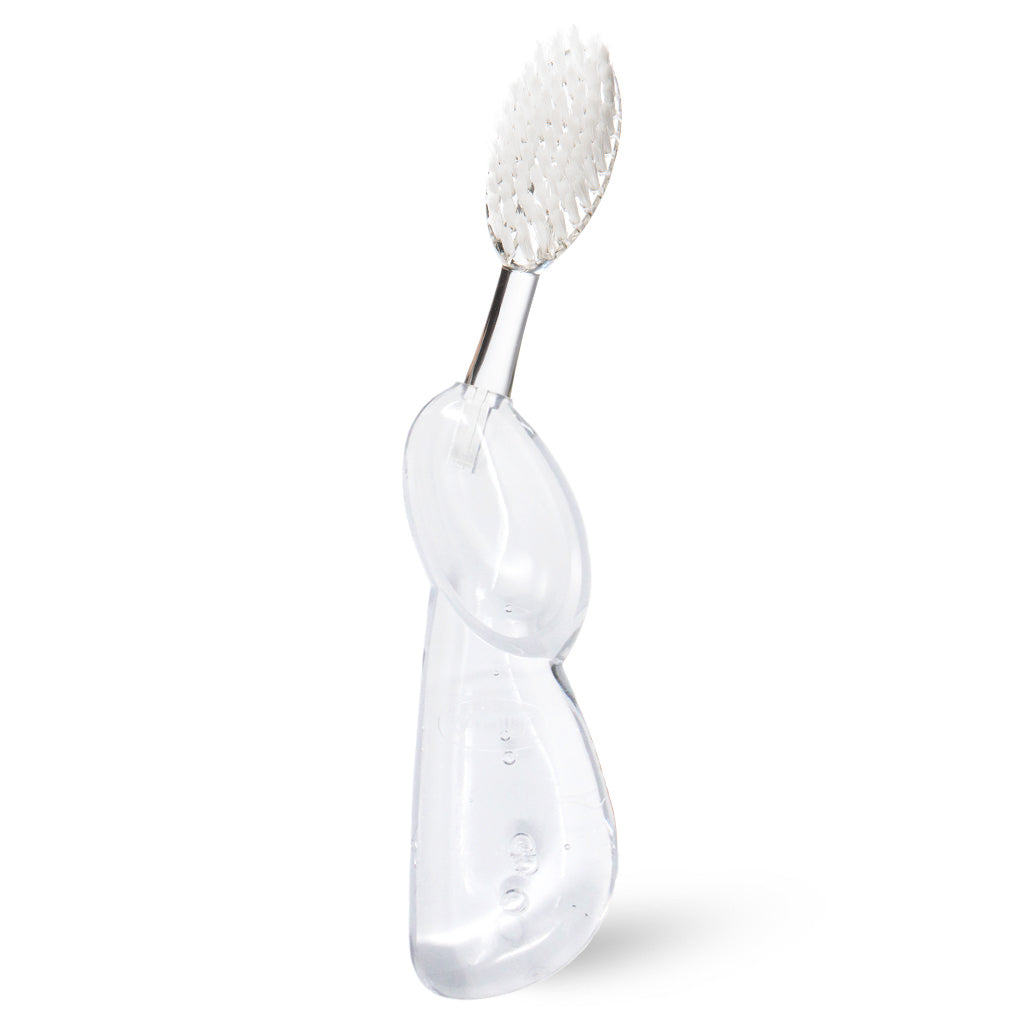 Big Brush with Replaceable Head Toothbrush